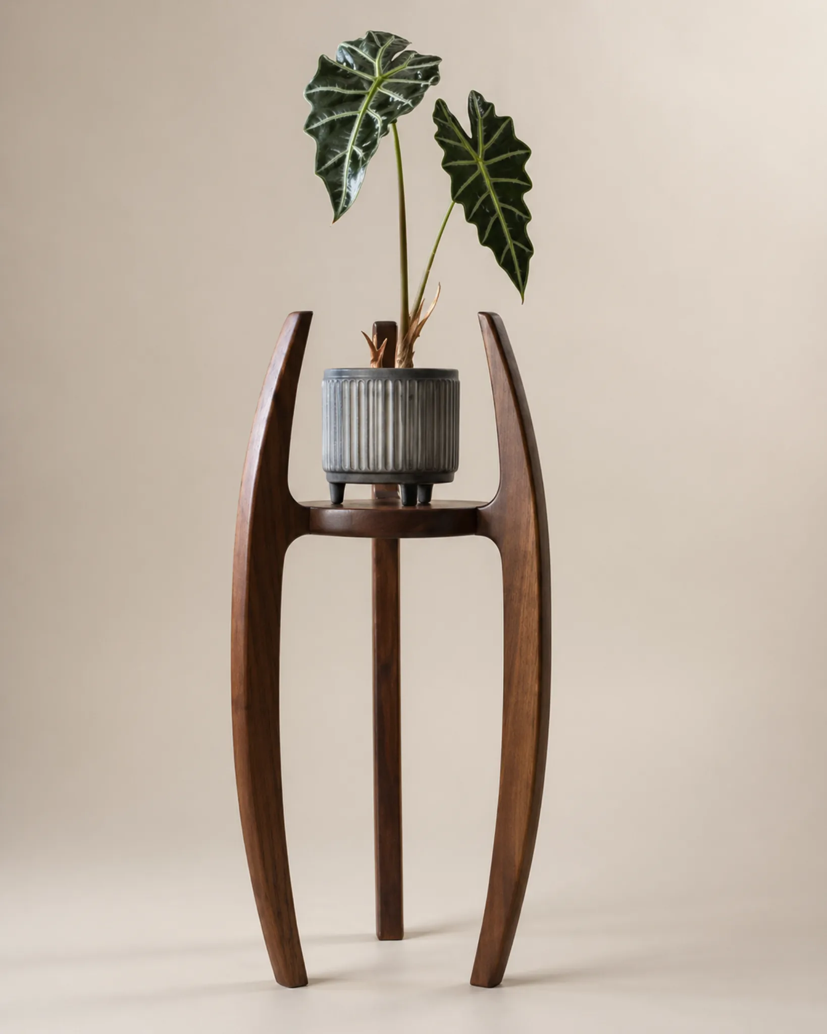 Pot Planter Wooden Plant Stand by Auretz Decor for indoor plants and wooden home decor