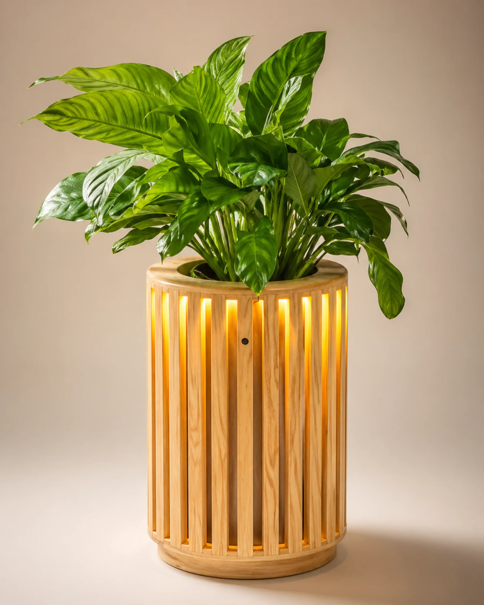Pot Planter Wooden Planter Round by Auretz Decor for indoor plants and wooden home decor
